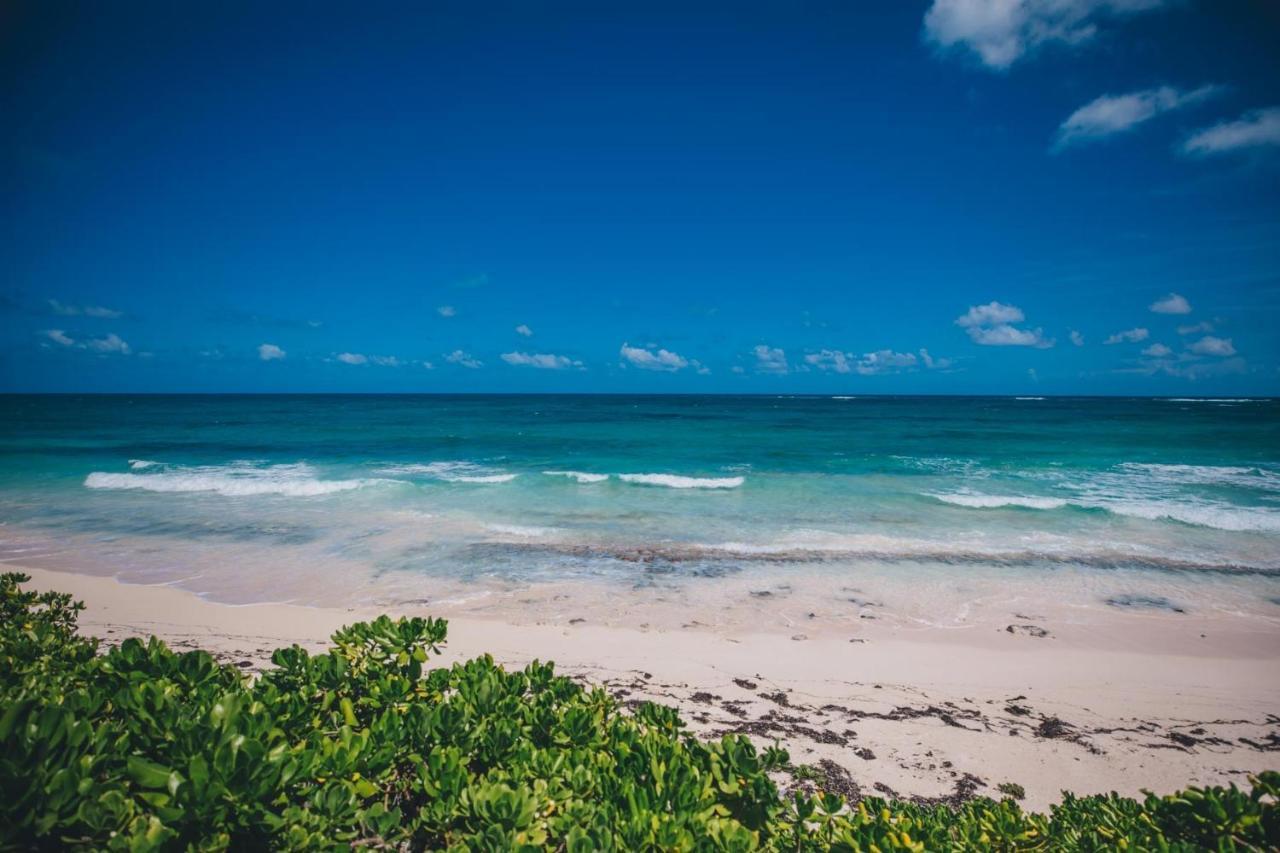 Pink Sand Cottage Cottage North Palmetto Point エクステリア 写真